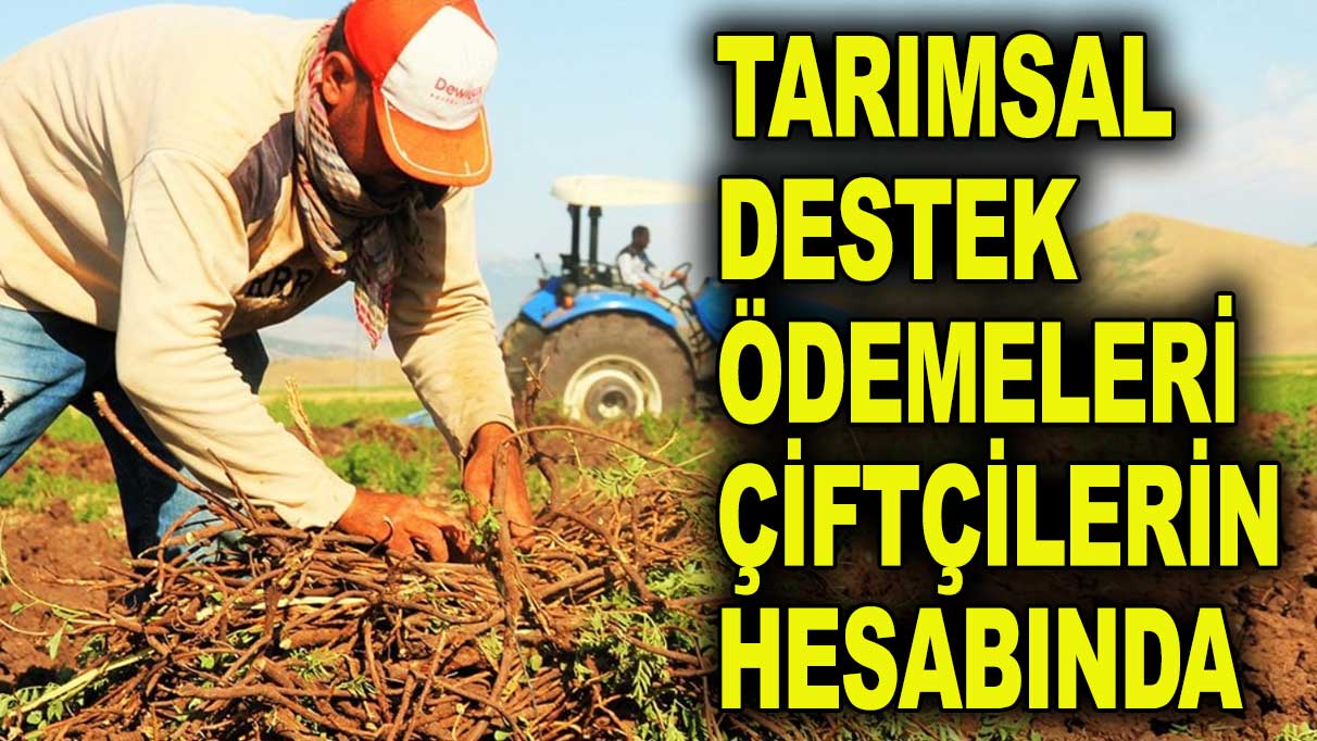 Tarımsal destek ödemeleri çiftçilerin hesabında