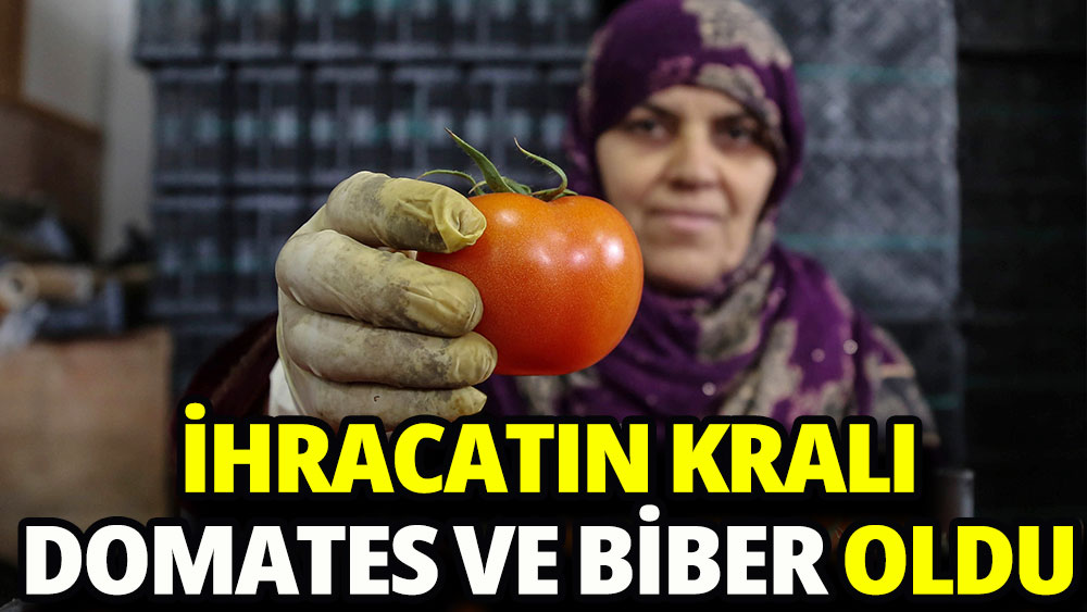 Domates ve biber ihracaat lideri oldu