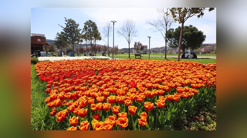 Baharın renkleri Bursalılarla buluştu 