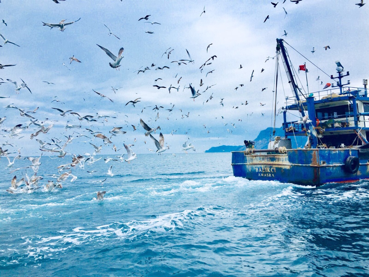 Denizlerde av yasağı başladı