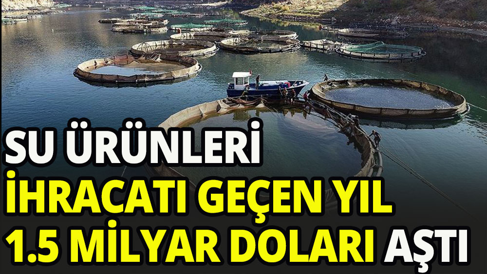 Türkiye'nin su ürünleri ihracatı geçen yıl 1,5 milyar doları aştı.