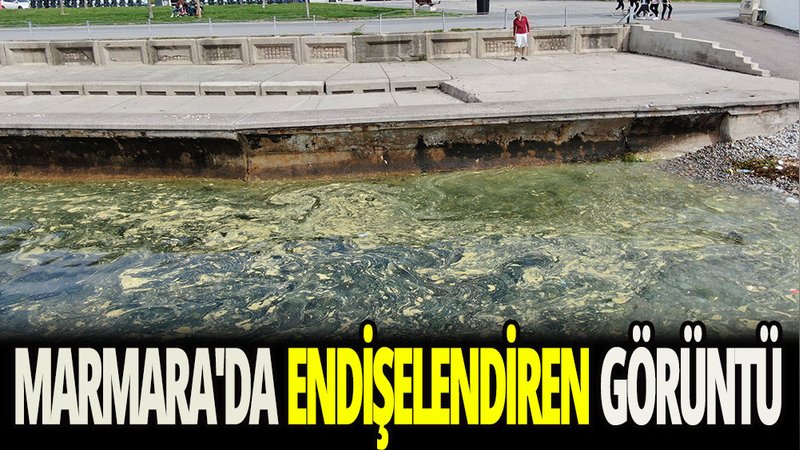 Kadıköy sahilinde endişelendiren görüntü