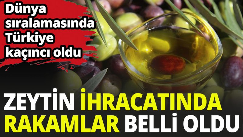 Zeytin ve zeytinyağı ihracatında son durum