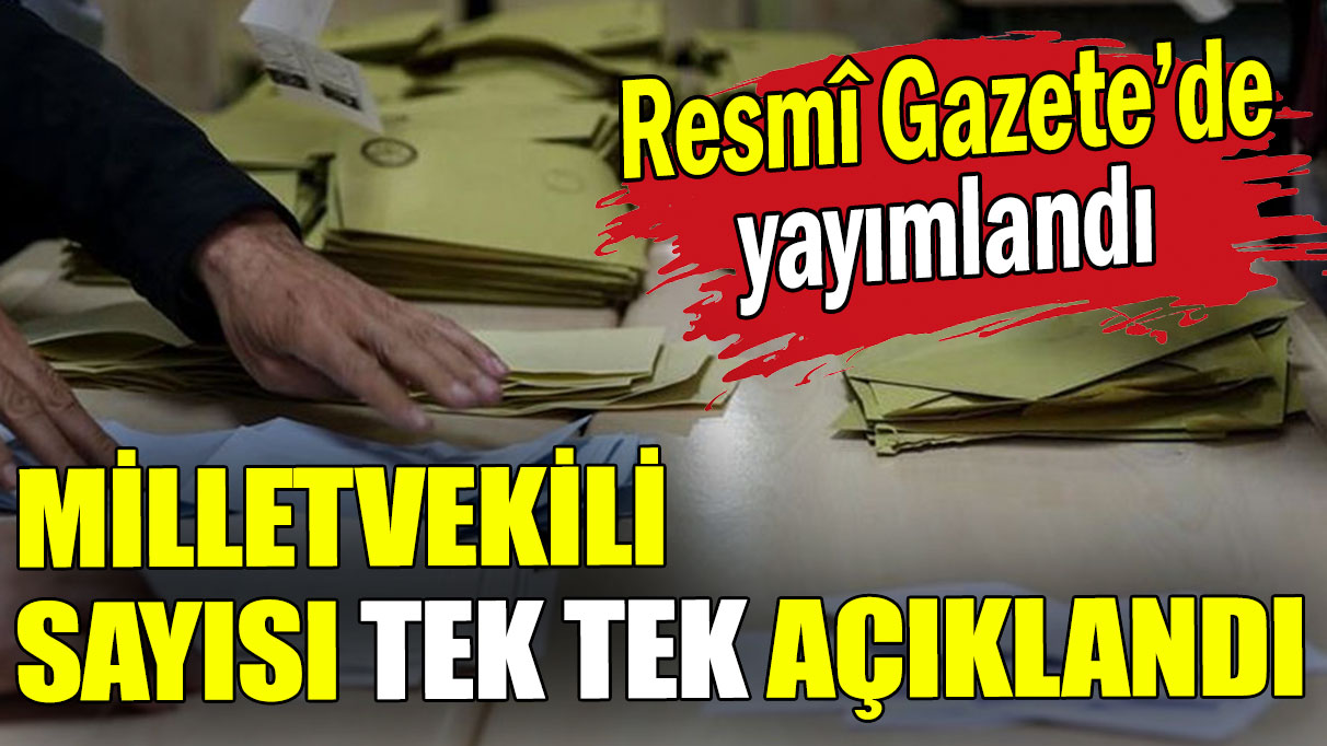 Resmî Gazete'de yayımlandı: Kaç milletvekili adayı olduğu ortaya çıktı