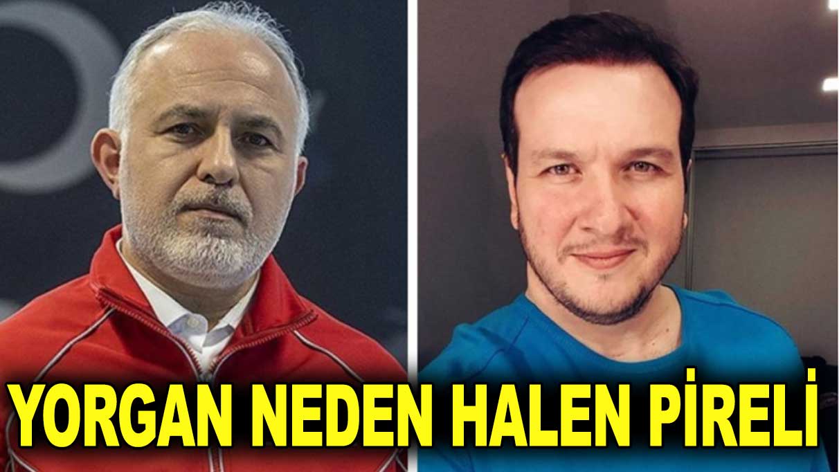 Gökbakar: Neden yorgan hala pireli?