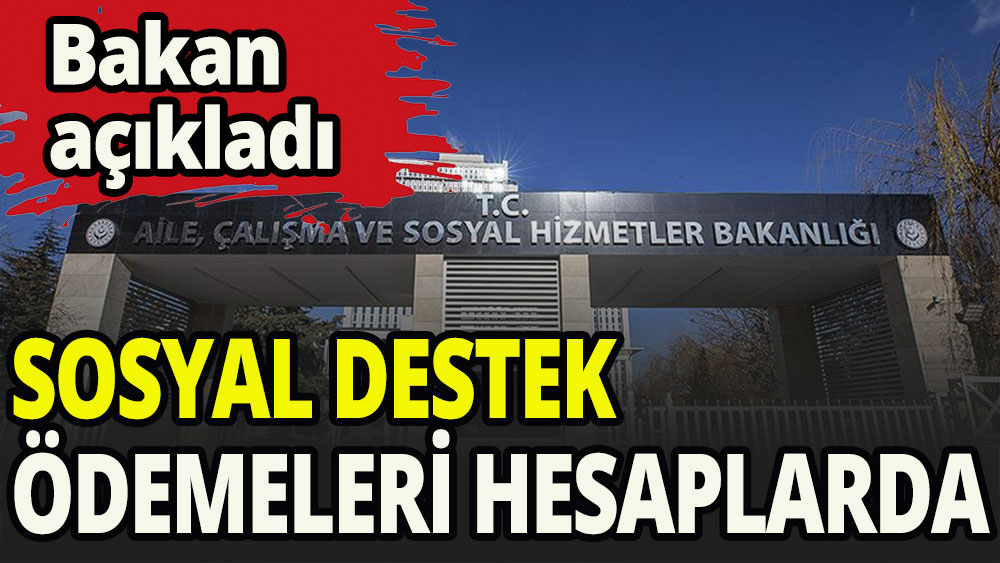 Sosyal ve Ekonomik destek ödemeleri hesaplarda