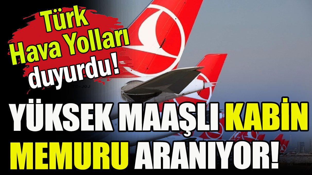 THY yüksek maaşlı kabin memuru alacak!