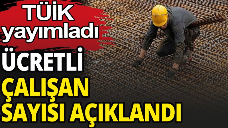 TÜİK ücretli çalışan sayısını açıkladı: Geçen seneye göre....