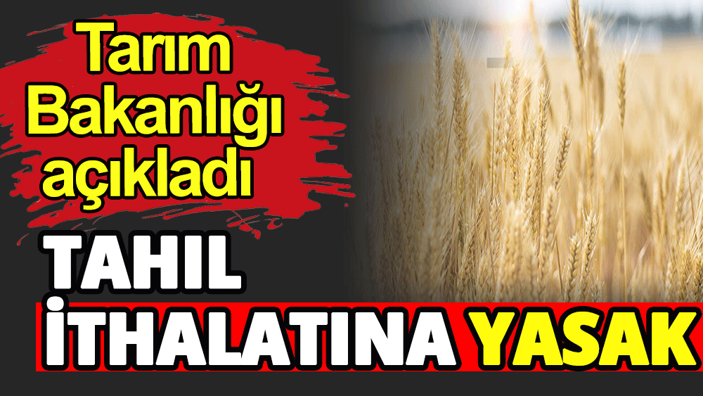 Tahıl ithalatına yasak