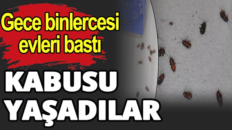 Kocaeli'de geceleri evlere dadandılar