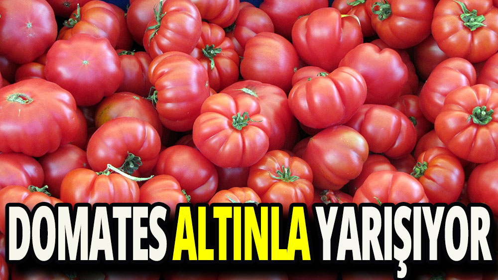 Domates altınla yarışıyor