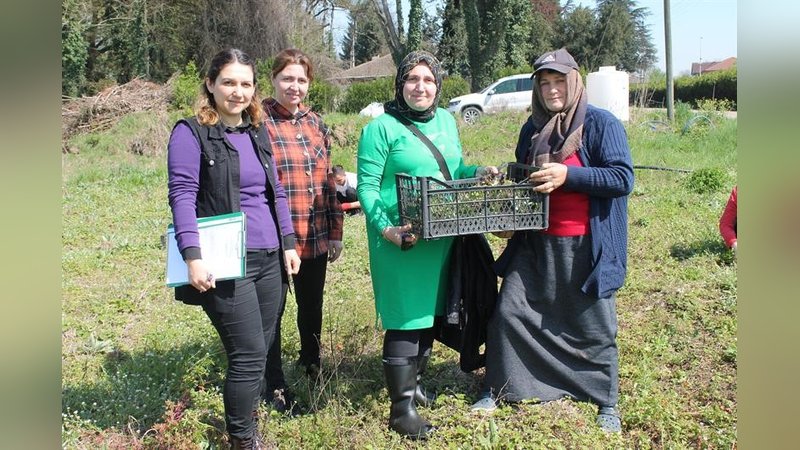 150 bin dağ çileği fidesi üreticiyle buluştu