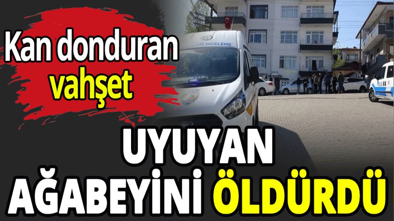 Uyuyan ağabeyini öldürdü