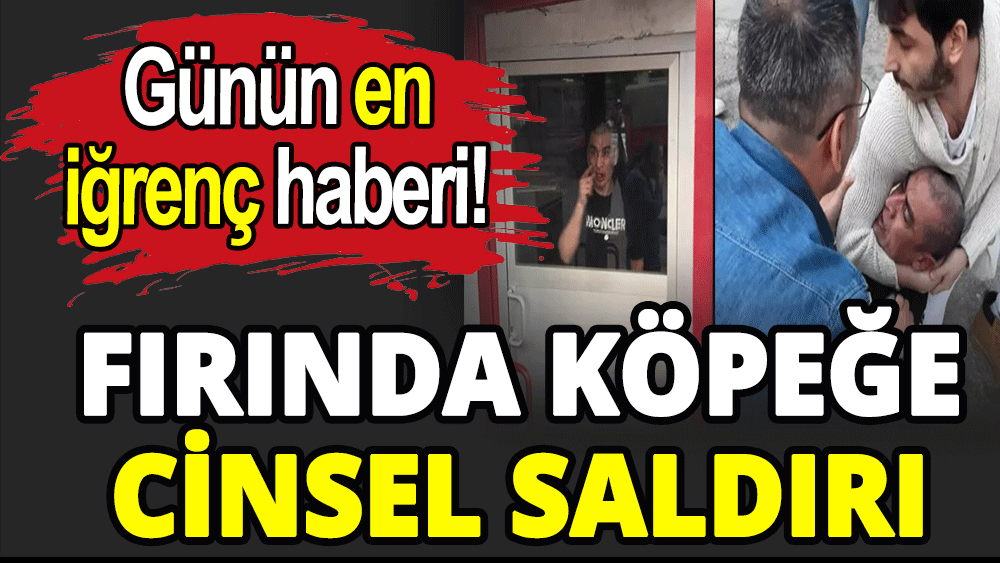 Fırında köpeğe cinsel saldırı