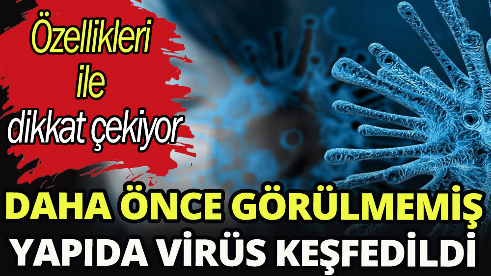 Daha önce görülmemiş yapıda virüs keşfedildi