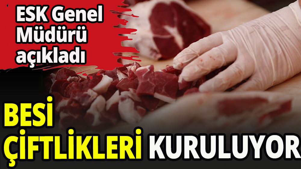 Et ve Süt Kurumundan ''besi çiftliği'' hamlesi