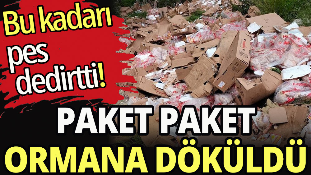 Mide bulandıran görüntüler: paket paket ormana atmışlar