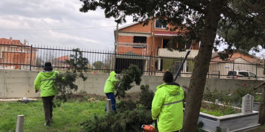 Silivri’de ağaç budama çalışmaları hız kazandı