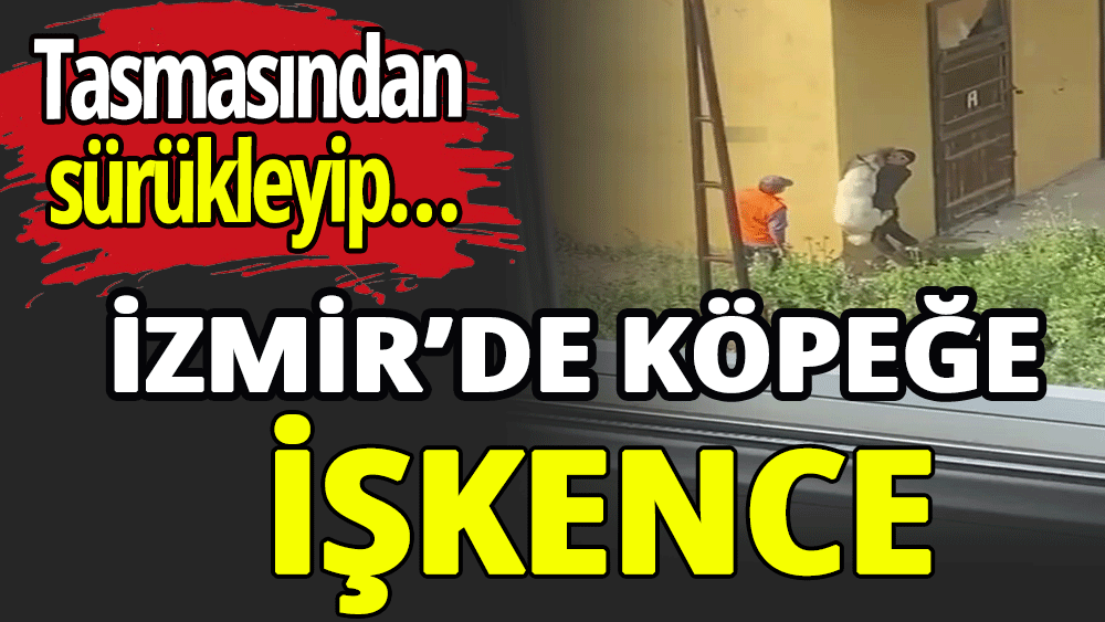 İzmir’de köpeğe işkence