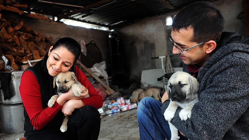 Sahipsiz yavrulara yuva oldular