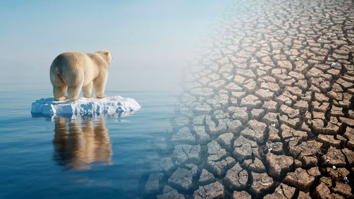 İklim değişikliğinin bilançosu ağır: Ne kadar buzulun eridiği belli oldu!