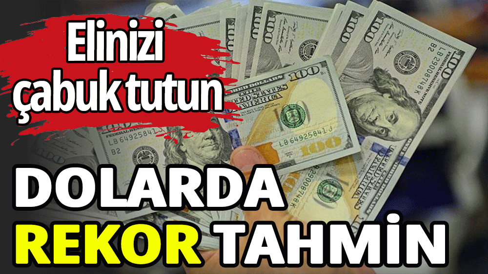 Dolarda rekor tahmin