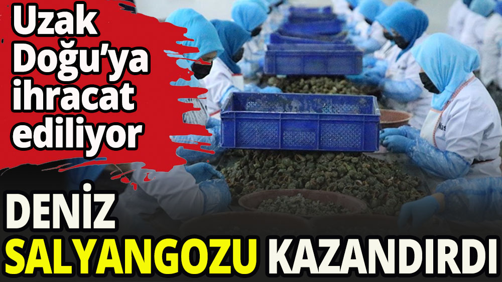 Deniz salyangozu 5,6 milyon dolar kazandırdı