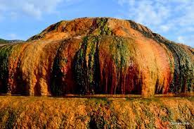 Methini duyan akın ediyor: Kırmızı suyun faydaları