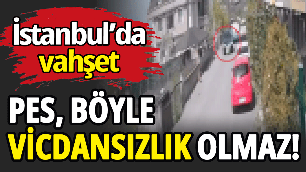 Böyle vicdansızlık olmaz