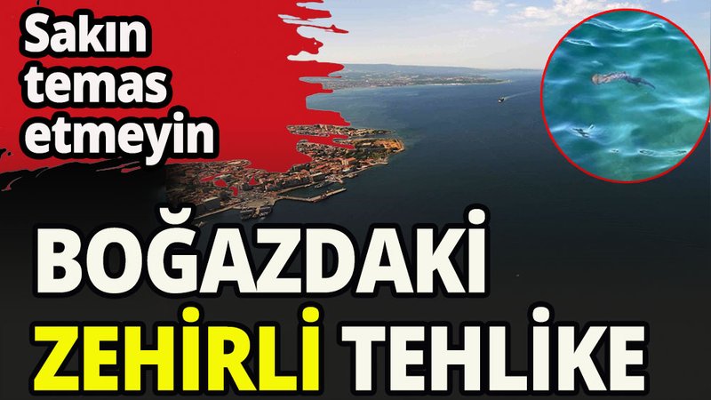Boğazdaki zehirli tehlike