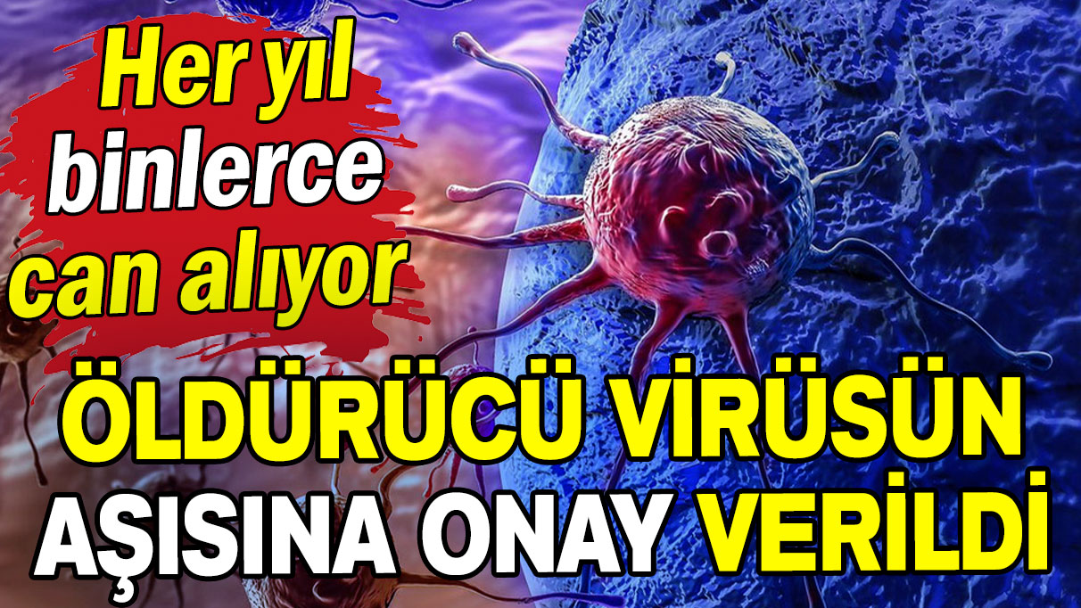 Her yıl binlerce can alıyor: Öldürücü virüsün aşısına onay verildi!