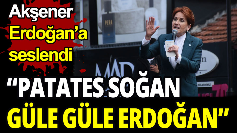 Akşener Erdoğan'a seslendi: Patates soğan, güle güle Erdoğan