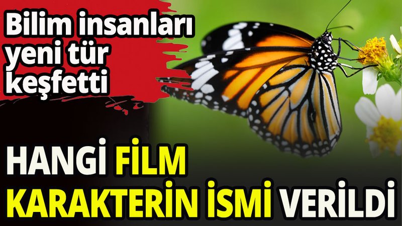 Kelebeklere hangi film karakterinin ismi verildi