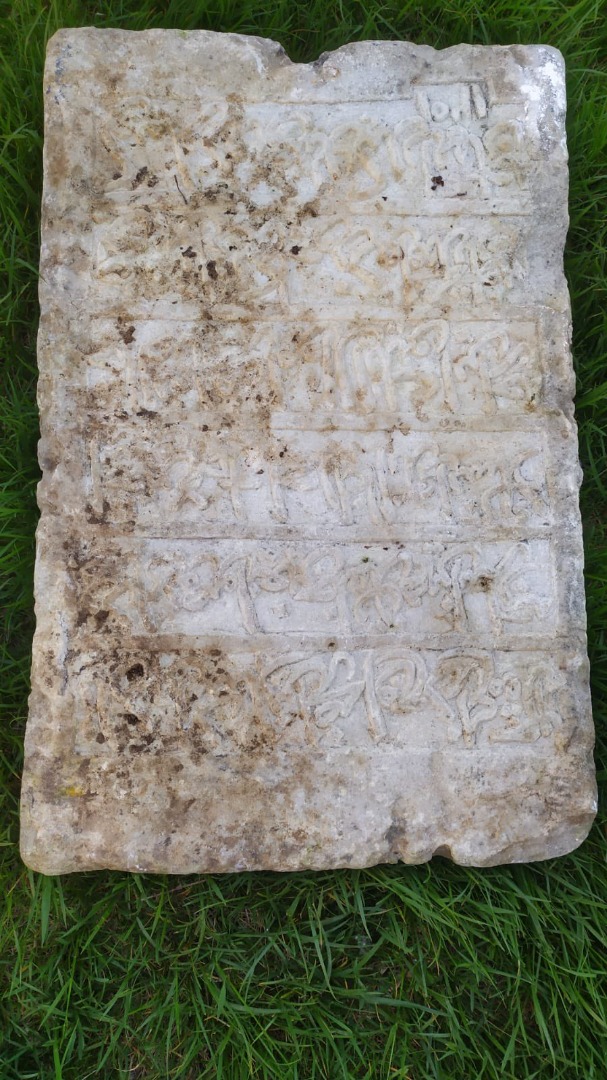 Bakanlık internetten gördü koruma altına aldı