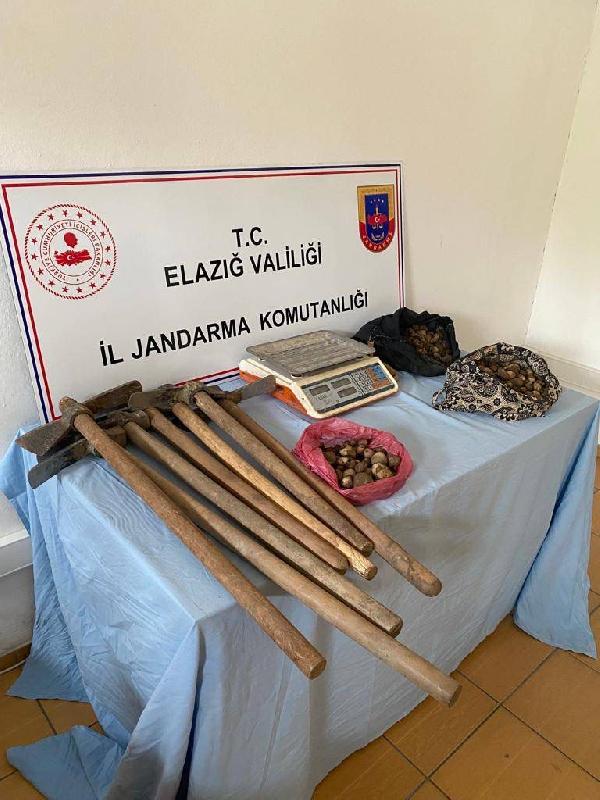 Toplaması yasaktı, suçüstü yakalandılar: 438 bin 372 lira ceza yediler