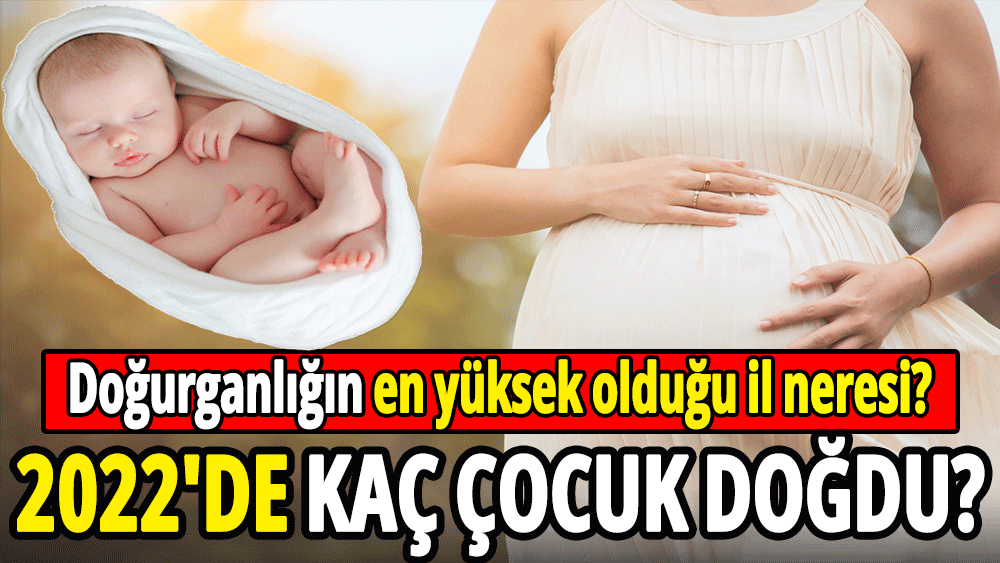 2022'de kaç çocuk doğdu?