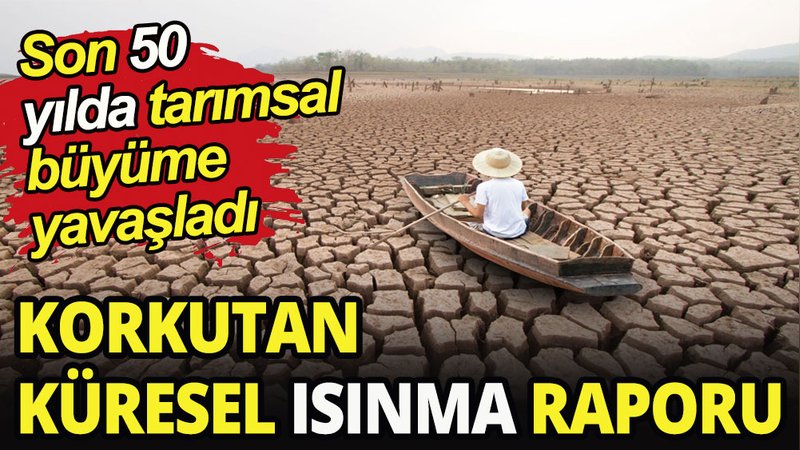 Korkutan küresel ısınma raporu: Son 50 yılda tarımsal büyüme yavaşladı