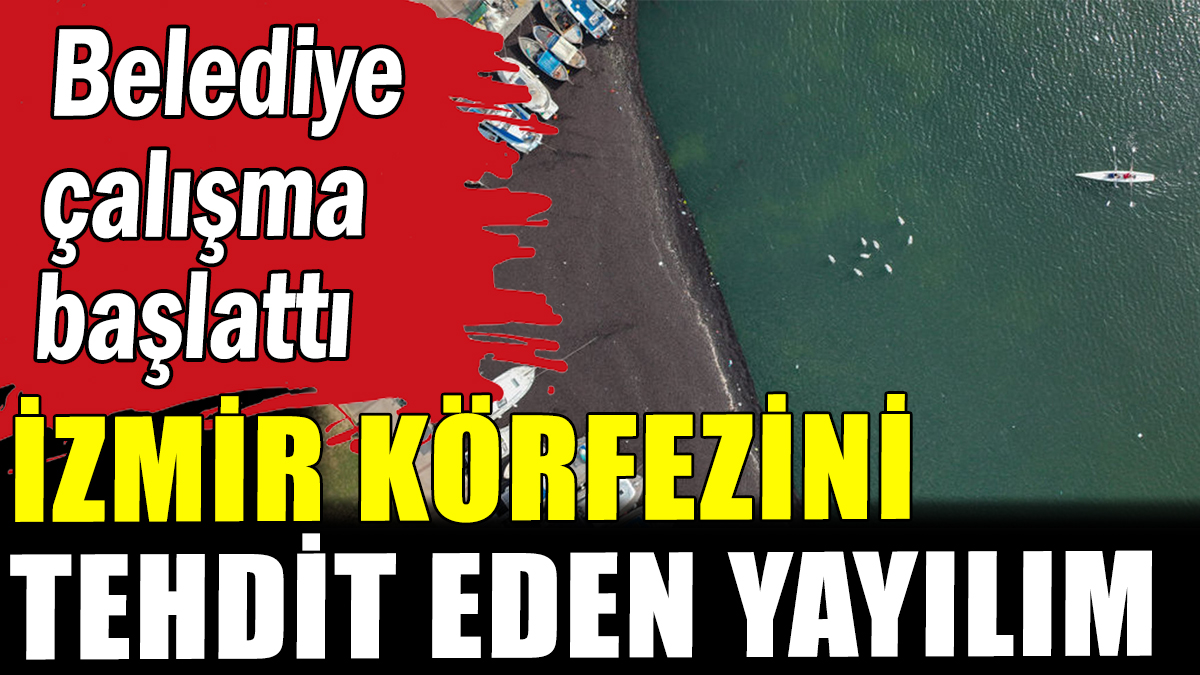 İzmir Körfezini tehdit eden yayılım