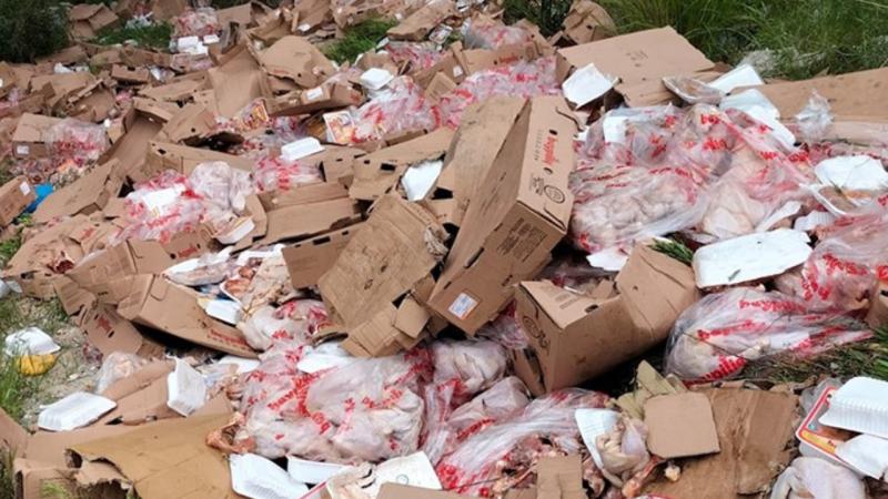 Ormana paket paket tavuk döken işletmeye büyük ceza