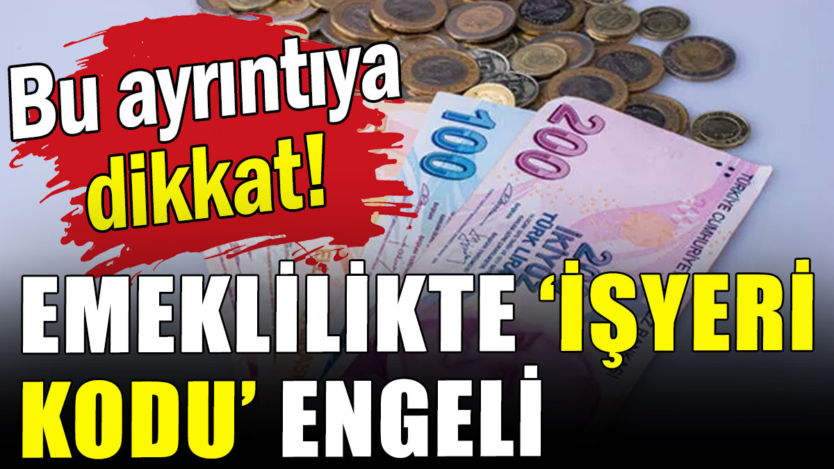 Bu ayrıntıya dikkat: Emeklilikte 'işyeri kodu' engeli