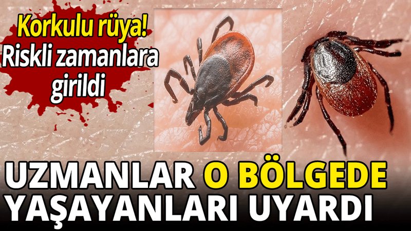 Uzmanlar o bölgede yaşayanları uyardı