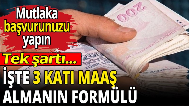 Bir dilekçe ile 3 emekli maaşı alabilirsiniz