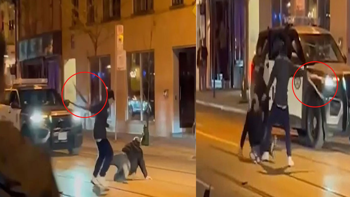 Sokak ortasında pitonlu kavga