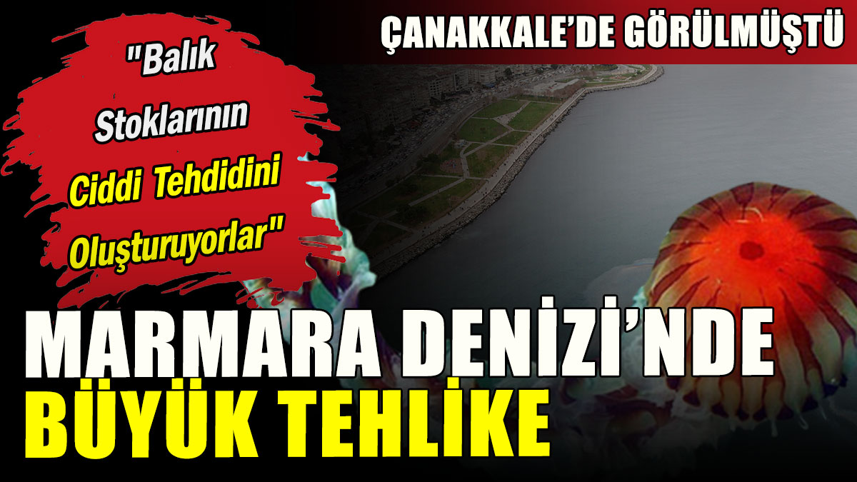 Marmara Denizi'nde büyük tehlike