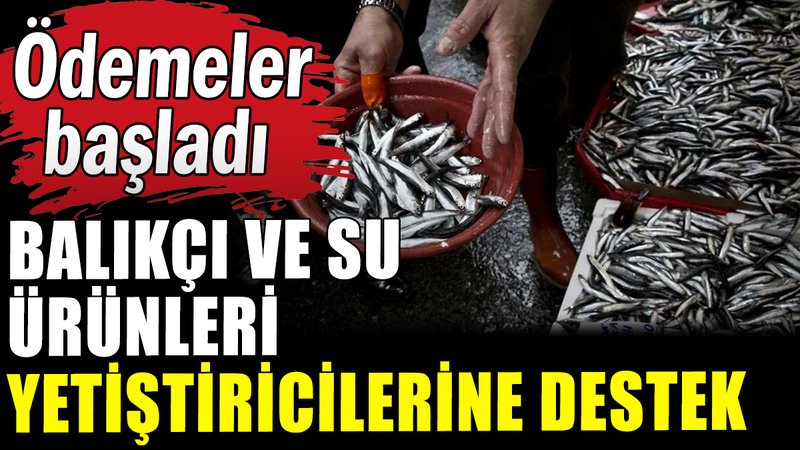 Balıkçılara ve su ürünleri yetiştiricilerine ödeme desteği