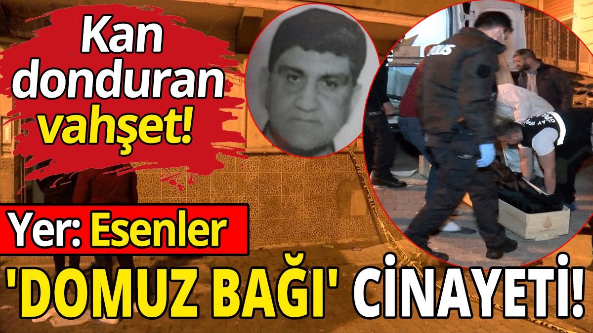 İstanbul'da 'domuz bağı' cinayeti
