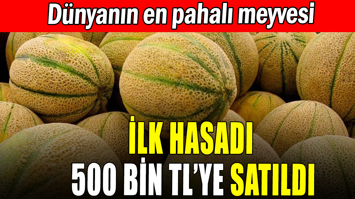 İlk hasadı 500 bin TL'ye satıldı