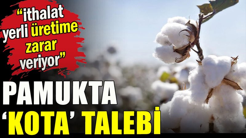 Pamukta 'kota' talebi