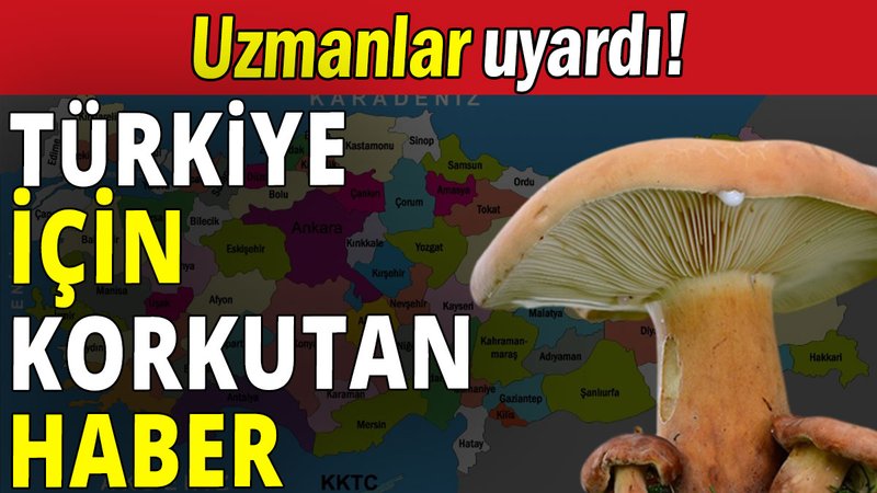 Türkiye için korkutan haber
