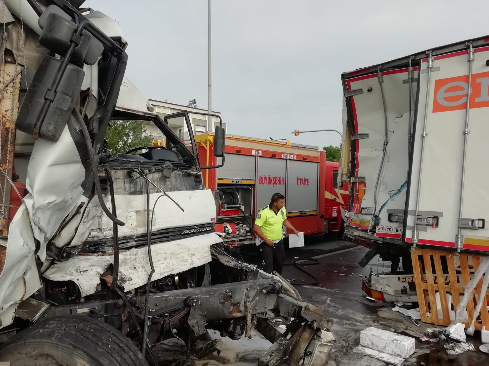 Yola çıkan yavru köpeği kurtarmak isterken canından oldu